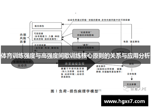体育训练强度与高强度间歇训练核心原则的关系与应用分析